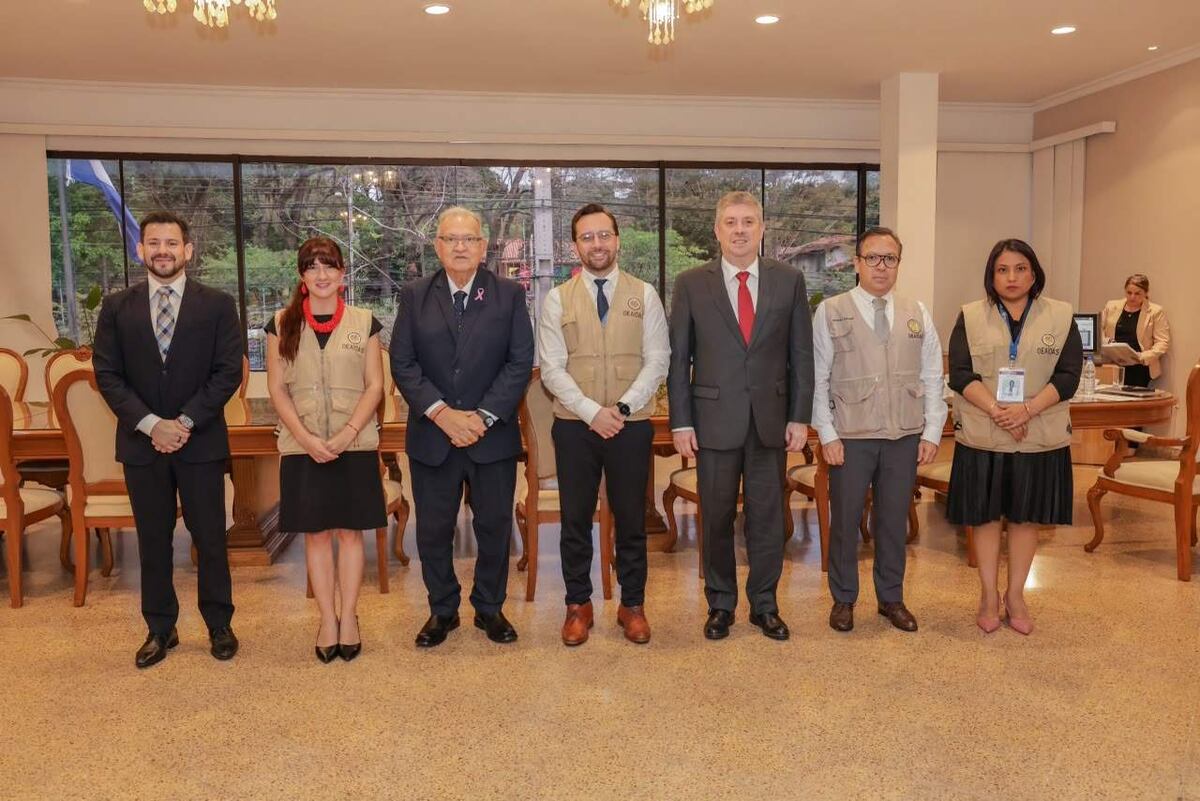 Elecciones Municipales: TSJE mantuvo audiencia con observadores de la OEA