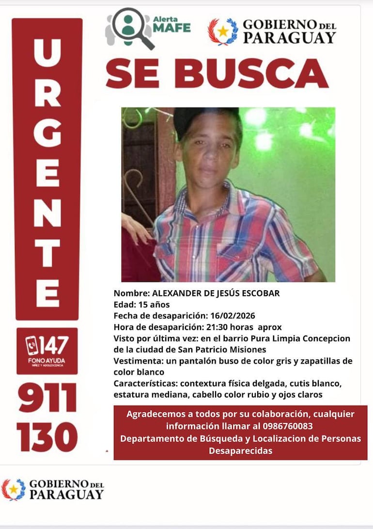 Flyer difundido por instituciones sobre la desaparición de Alexander Escobar en San Patricio, Misiones
