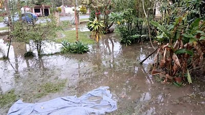 Entorno inundado con agua estancada, vegetación poco visible y un trozo de tela azul en primer plano.
