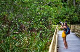 Parque Nacional Manuel Antonio de Costa Rica