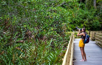 Parque Nacional Manuel Antonio de Costa Rica