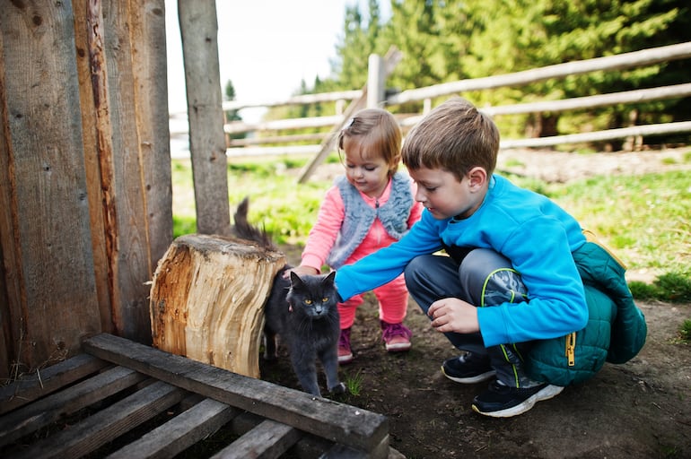 Visitas de Semana Santa sin estrés: cómo ayudar a tu perro o gato cuando la casa se llena.