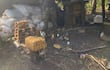 Agentes del departamento Antinarcóticos verifican los elementos encontrados debajo de la carpa, donde estaban trabajando los marihuaneros. El narcotráfico sigue arrasando con el Parque Nacional Paso Bravo.