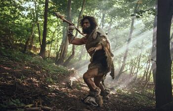 Neandertal, imagen ilustrativa.