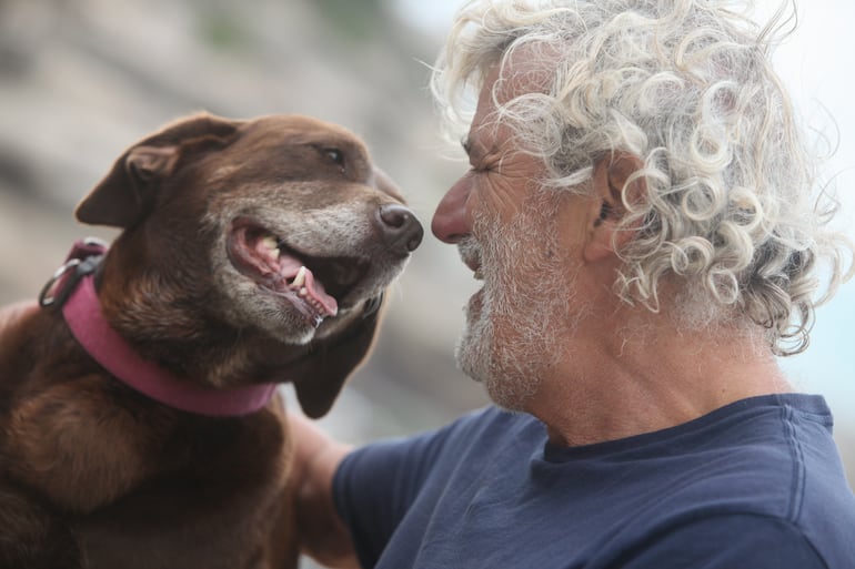 Científicos descubren qué ocurre en el cerebro de un perro cuando ve a su dueño - Mascotas