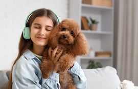 Joven sostiene en brazos a su perro caniche.