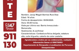 Alerta MAFE