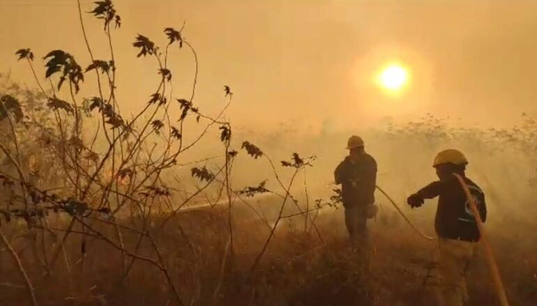 Una cuadrilla ambiental ingresó hasta uno de los focos.