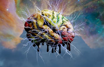 Qué es la “memoria líquida” del cerebro y por qué cambia lo que sabíamos sobre el aprendizaje.