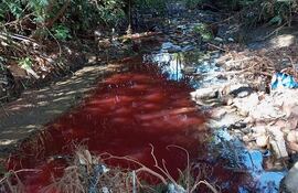 El arroyo San Lorenzo está contaminado.