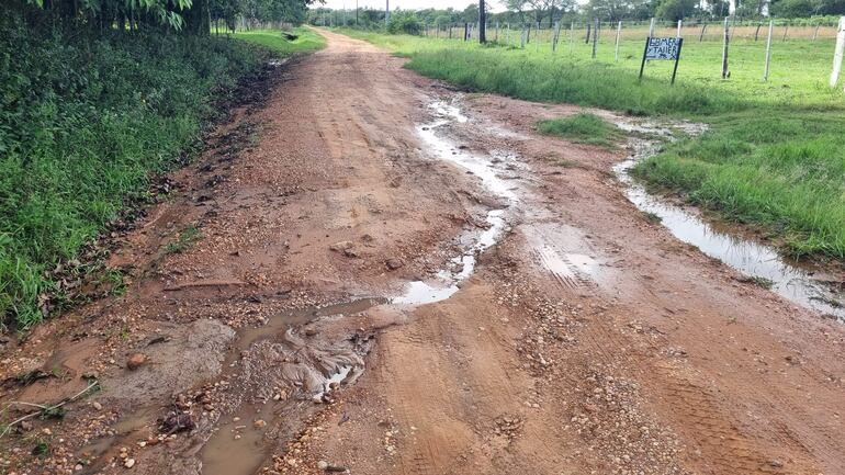 Camino de tierra rodeado de vegetación densa y campos, con barro y charcos tras la lluvia reciente.