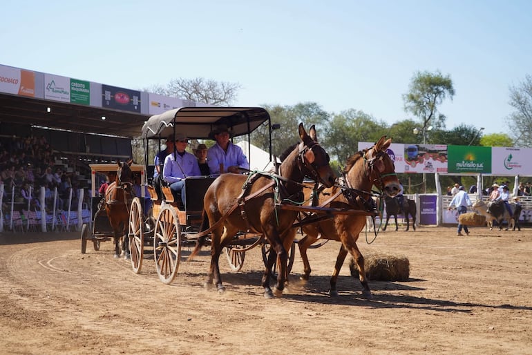 Expo Rodeo Trébol cumplió 50 años y movió más de G. 3.100 millones