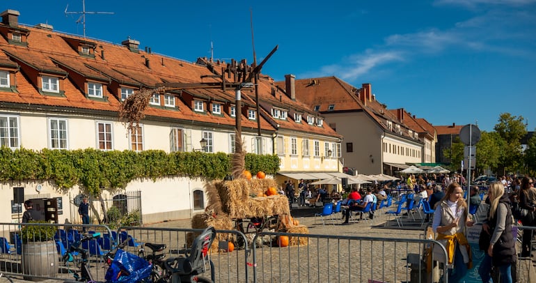 Maribor, Eslovenia. La ceremonia de la vendimia de la vid más antigua del mundo.