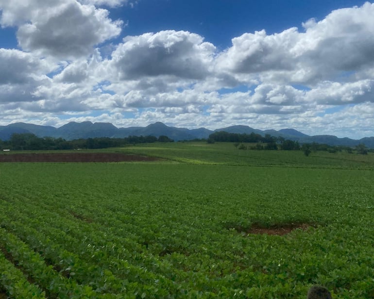 Se deberá determinar si la parcela se encuentra dentro de los límites de la Reserva del Ybytyruzú.