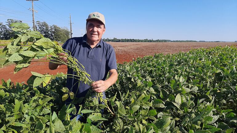 El ingeniero Rubén Sanabria muestra una planta de soja en un campo de Alto Paraná. 