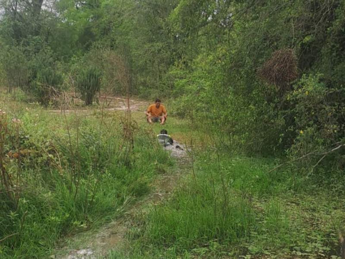 Imputan a conductor que casi se congeló en el monte tras abandonar una carga de marihuana Imputan a conductor que casi se congeló en el monte tras abandonar una carga de marihuana