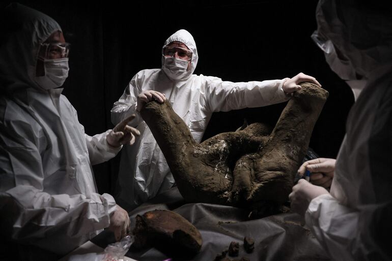 Científicos rusos realizan una necropsia a Yana, una cría de mamut de 130.000 años hallada en perfecto estado. El análisis “nos permite estudiar el pasado de nuestro planeta”, dice Artemi Goncharov, experto en genómica del Instituto de Medicina Experimental.