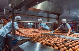 El huevo es uno de los alimentos más consumidos y nutritivos del mundo.