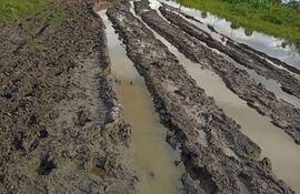 Camino rural en mal estado con agua y barro, flanqueado por vegetación densa bajo un cielo nublado en Toro Pampa.