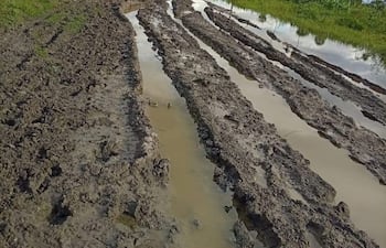 Camino rural en mal estado con agua y barro, flanqueado por vegetación densa bajo un cielo nublado en Toro Pampa.
