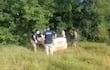 Dos agentes de policía rodean un auto semienterrado en vegetación, concentrados en la inspección mientras otros observan el entorno.
