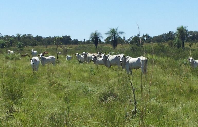 Gremio pide previsibilidad y seguridad en el campo