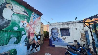 Murales artísticos en la Casa-Museo José Asunción Flores, destacando un tucán y un rostro humano entre colores vibrantes.