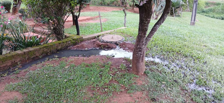 Jardín bien cuidado con césped, árboles y arbustos, mostrando un arroyo de agua que emana de una fuente cubierta por tierra.