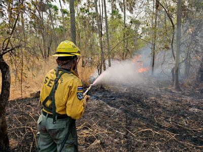 Un bombero de la Secretaría de Emergencia Nacional trabaja en apagar un incendio, el pasado sábado en la zona de Fuerte Olimpo.