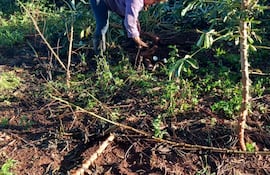 Santa Rosa Misiones