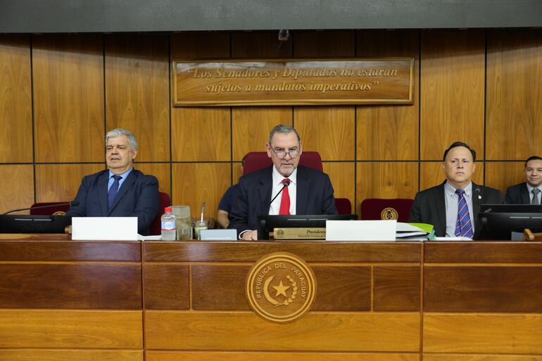 Sesión de Comisiones con Enrique Riera, en el Senado. (Foto: Prensa Senado)
