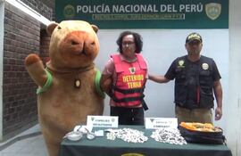 Captura de video cedido por la Policía Nacional de Perú del arresto de un microtraficante de droga. Un agente de la Policía Nacional de Perú (PNP) se disfrazó este viernes de capibara, un roedor muy de moda en las redes sociales, para sorprender a un microtraficante de droga en un distrito del sur de Lima, que le abrió la puerta pensando que se trataba de un regalo de San Valentín.