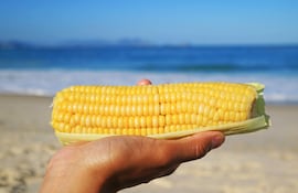 Maíz en las playas brasileñas.