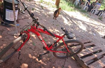 Niña de 12 años falleció tras caer de su bicicleta.