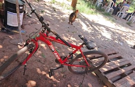 Niña de 12 años falleció tras caer de su bicicleta.