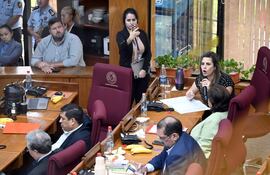 Sesion ordinaria de la Camara de Senadores en la que trataron la pérdida de investidura a Kattya González.