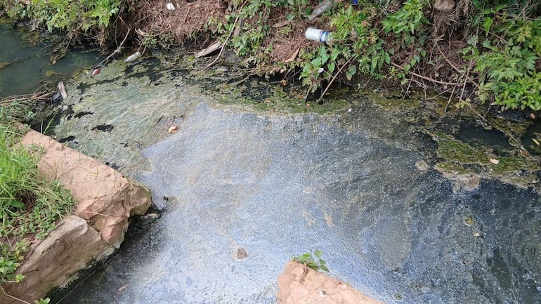Cuerpo de agua contaminado en San Juan Bautista, con residuos y algas visibles, rodeado de piedras y vegetación.