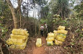 La droga estaba oculta con ramas a un costado del Paraná.