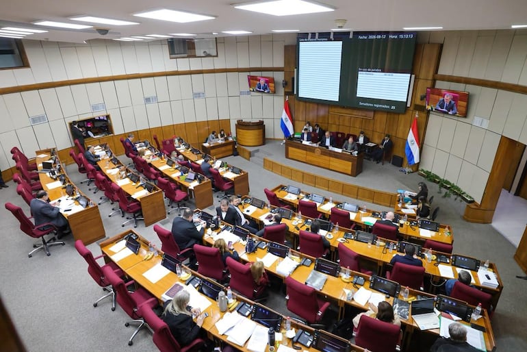 Sesión del Senado. Foto Gentileza.