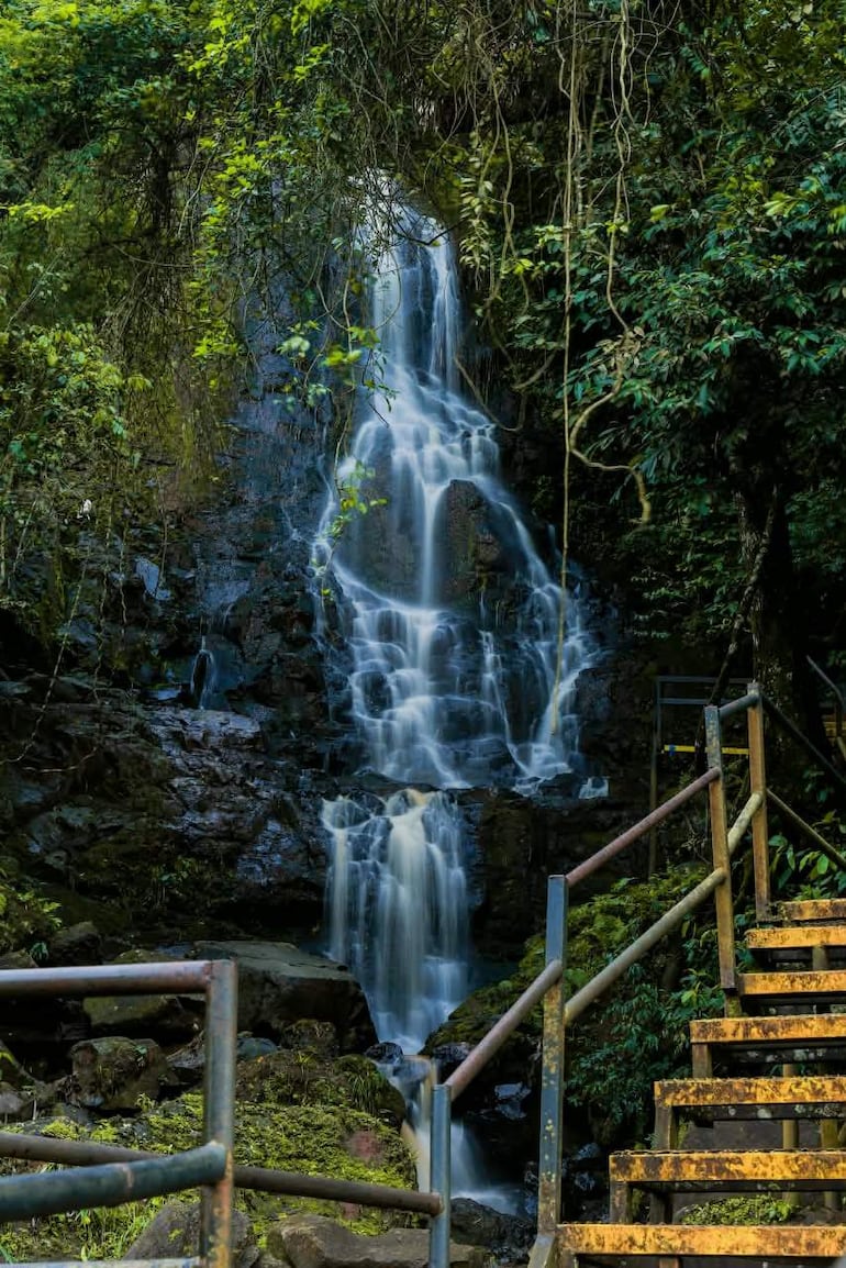 Cascada en medio de vegetación densa, rodeada de escalones de madera, sin personas visibles en la escena.