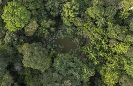 Fotografía aérea tomada con un dron del lago con especies vegetales Vitoria Regia, en el museo de la Amazonia, en la ciudad de Manaos (Brasil).