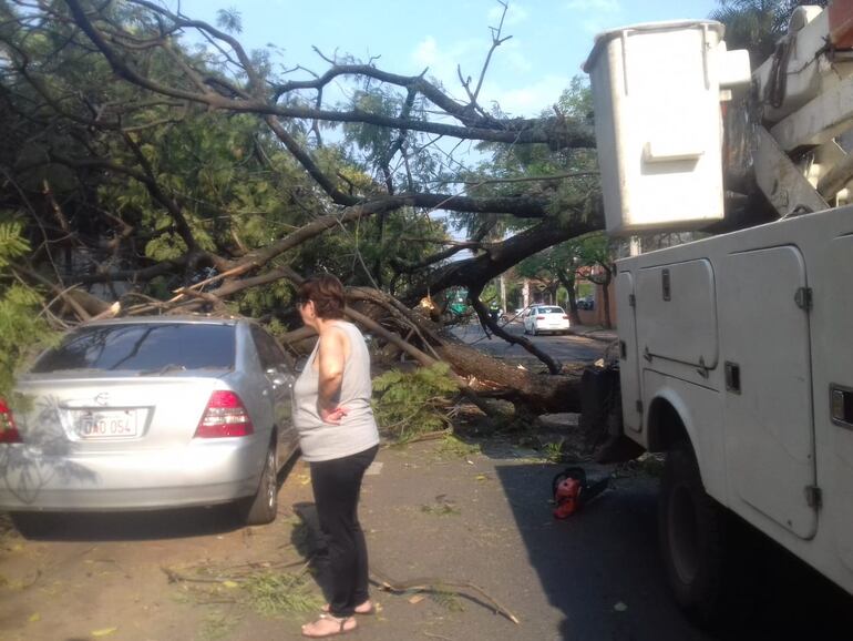 Gentileza. Una mujer observa sorprendida lo ocurrido sobre la calle Guido Spano.