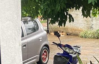 Denuncian que la muerte de la perra electrocutada pudo haberse evitado si la ANDE hubiera cortado las ramas de los árboles.