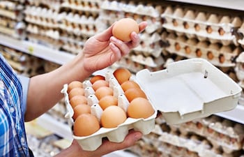 Plancha de huevos no llegará a G. 40.000 este año, según Avipar.