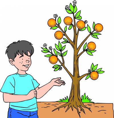 /pf/resources/images/abc-placeholder.png?d=2395