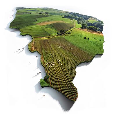 Dinamismo económico.