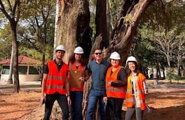 Cinco funcionarios con chalecos reflectantes y cascos sonríen frente a un gran árbol tarumá en un parque.