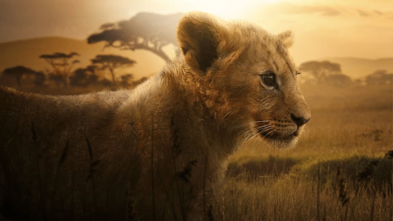 León serie