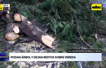 Video: Podan árbol y dejan restos sobre vereda