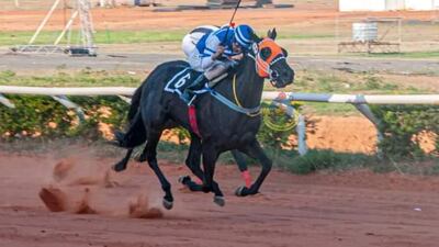 Kuña Chingolí del stud Don Isidro quiere alzarse con la Polla de Potrancas, hoy, en el hipódromo de Asunción.